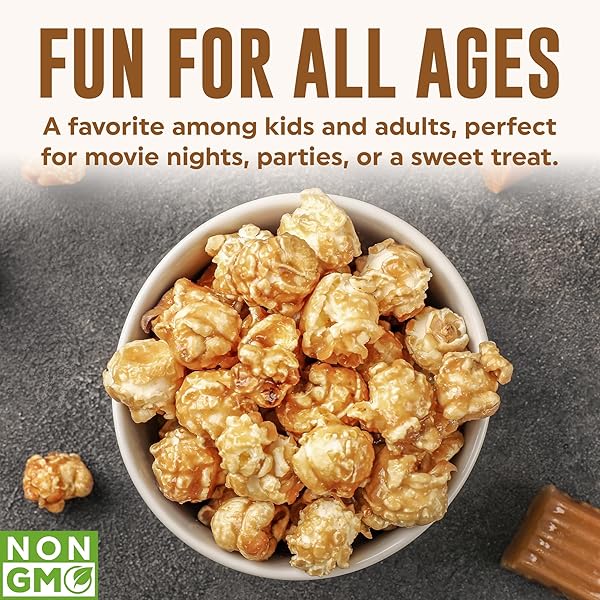 POPFULLY SEA SALT CARAMEL POPCORN FULLY POPS, SHARING BAGS, SWEET & SALTY, BIG POP, MICRO POPCORN BAGS, 3-PACK