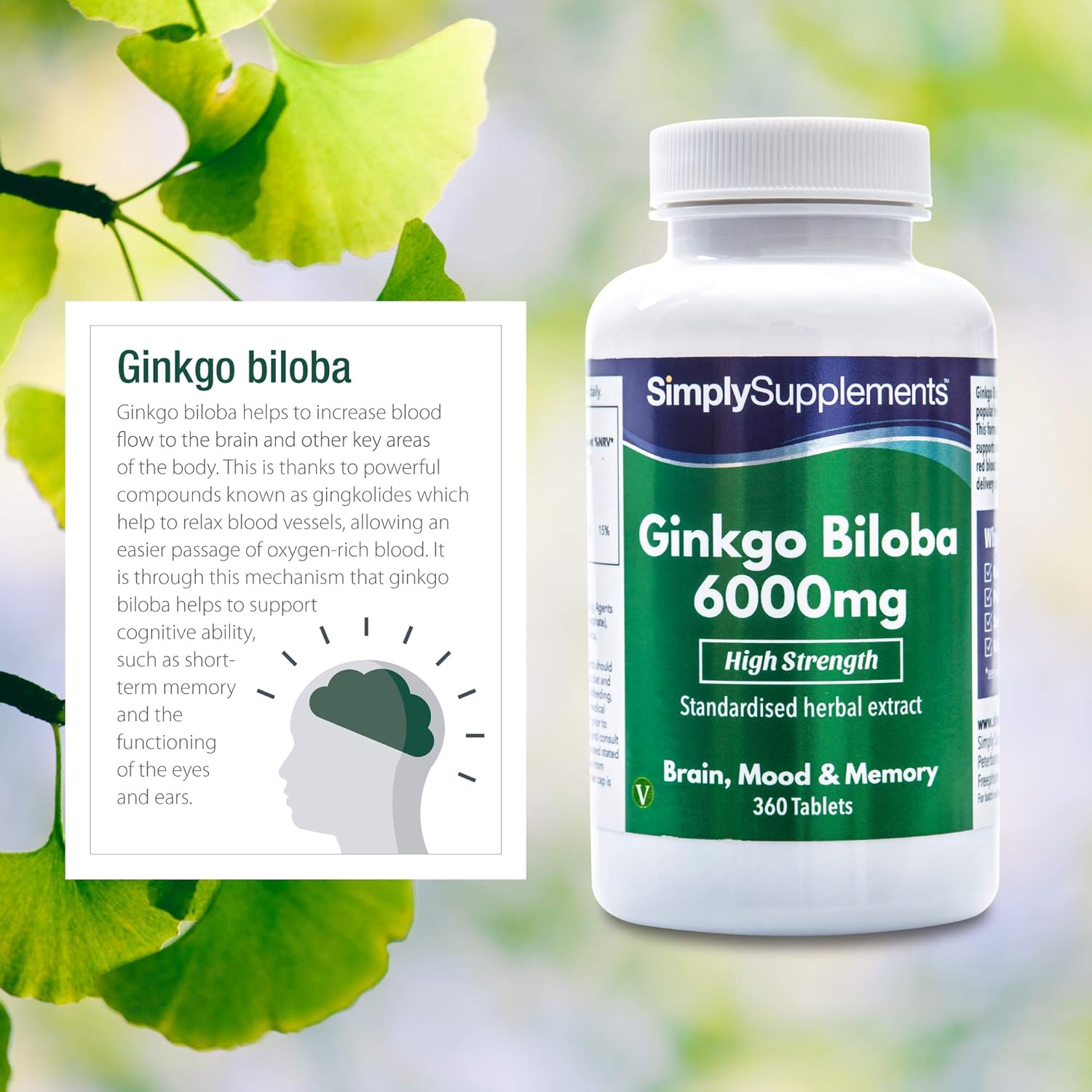 Ginkgo Biloba Tablets 6000mg | Supports Circulation and Mental Performance | 360 Tablets = Up to 1 Year Supply | Manufactured in The UK: Health & Personal Care