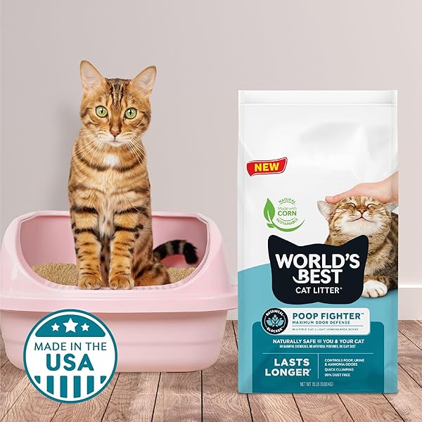 WORLD’S BEST CAT LITTER POOP FIGHTER MAXIMUM ODOR DEFENSE, 15-POUNDS – NATURAL INGREDIENTS, QUICK CLUMPING, FLUSHABLE, 99% DUST FREE & MADE IN USA – LONG-LASTING ODOR CONTROL & EASY SCOOPING