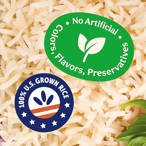BEN’S ORIGINAL READY RICE JASMINE RICE, EASY DINNER SIDE, 8.5 OZ POUCH (PACK OF 6)