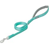 Terrain D.O.G. Reflective Neoprene Lined Dog Leash, Mint, 6-feet L x 1-inch W