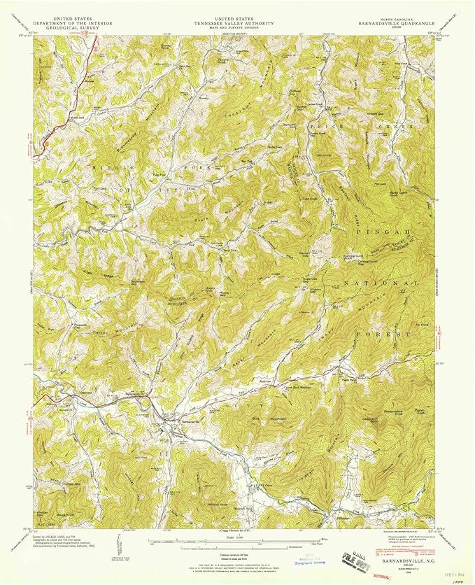YellowMaps Barnardsville NC topo map, 124000 Scale, 7.5 X