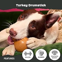 Barkbox Super Chewer Tough Dog Chew Toys for