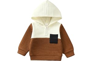 NZRVAWS Toddler Baby Boy Clothes 6 12 18 24 Months Long Sleeve Hoodie Sweatshirt Fall Winter 2-8T Little Boy Outfits