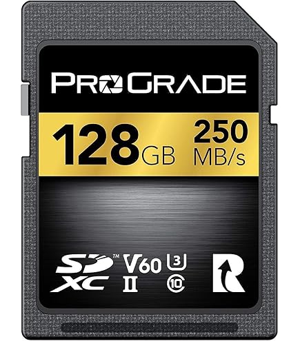Amazon.com: ProGrade Digital Memory Card - CFexpress 4.0 Type B