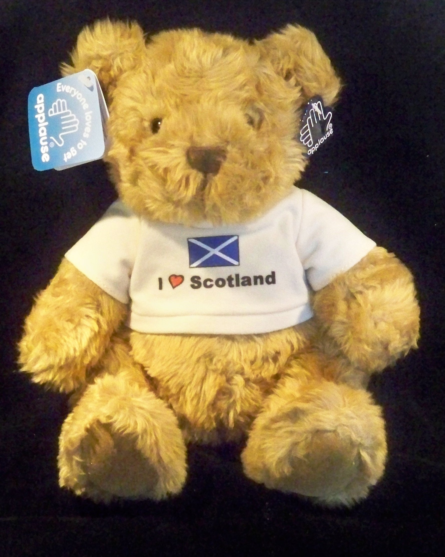 Russ Berrie I Love Scotland Football Mascot Teddy Bear
