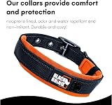 Black Rhino Heavy-Duty Dog Collar Reflective Neoprene Padded Medium Orange/Black view 5