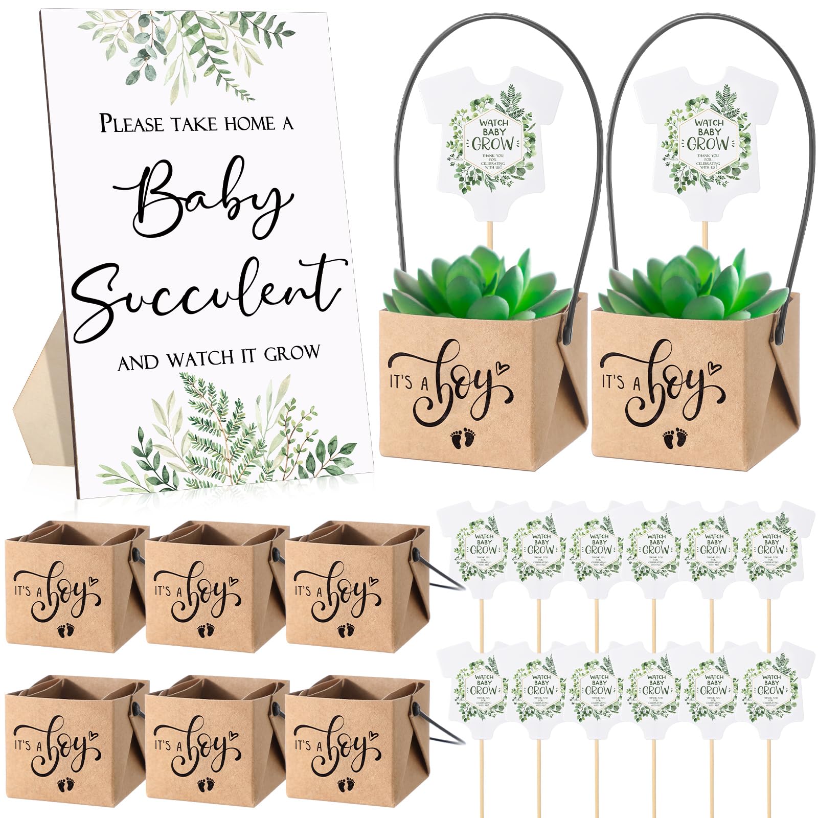 Photo 1 of Geetery 101 Pcs Succulent Baby Shower Party Favor 1 Wooden Table Sign 50 Tags and 50 Kraft Succulent Pots for Guest Baby Shower Favors Gifts(Boy)