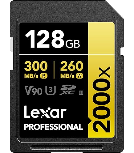 Amazon.com: Lexar Professional 128GB CFexpress Type B Memory Card