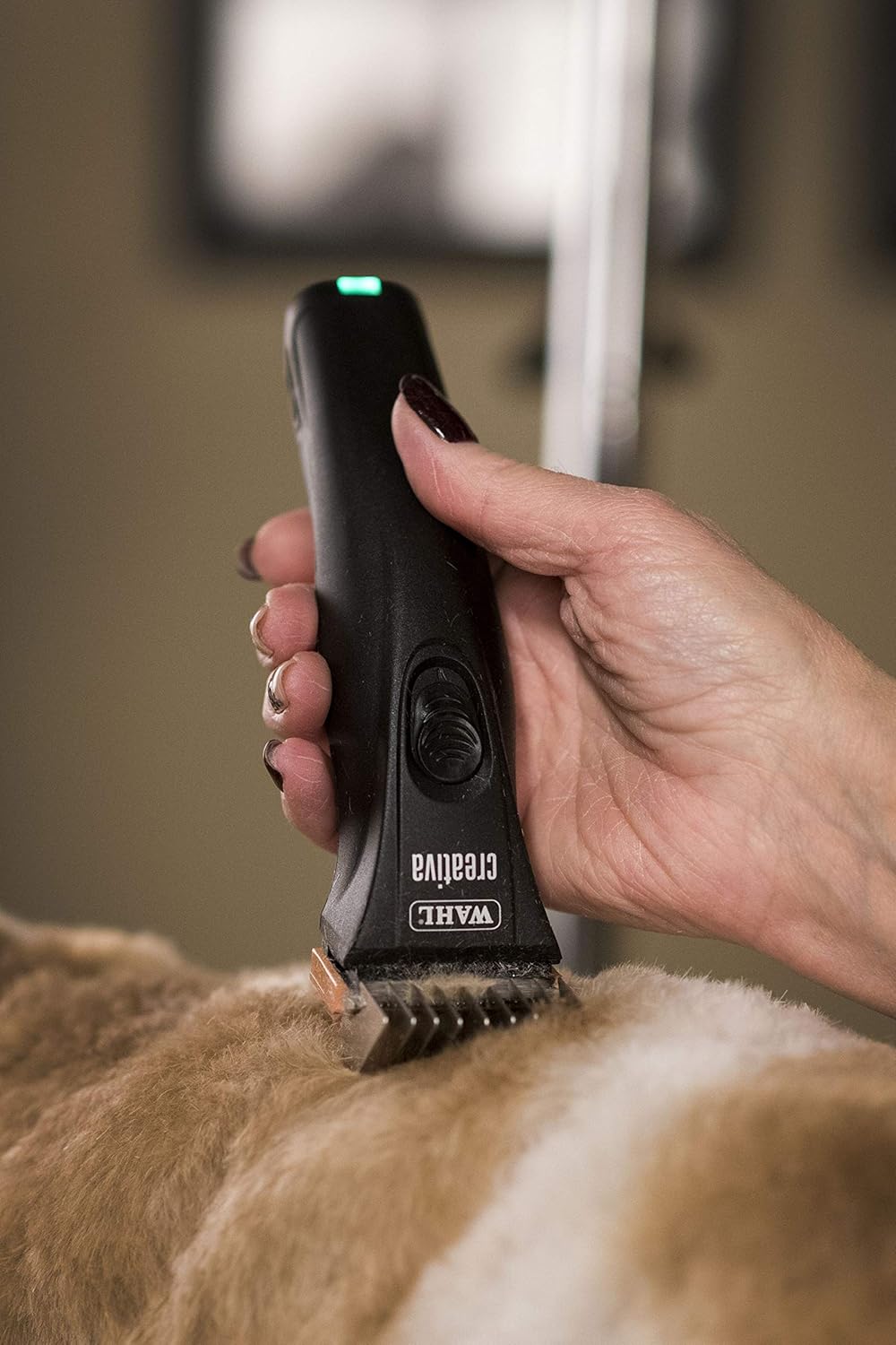 wahl creativa review