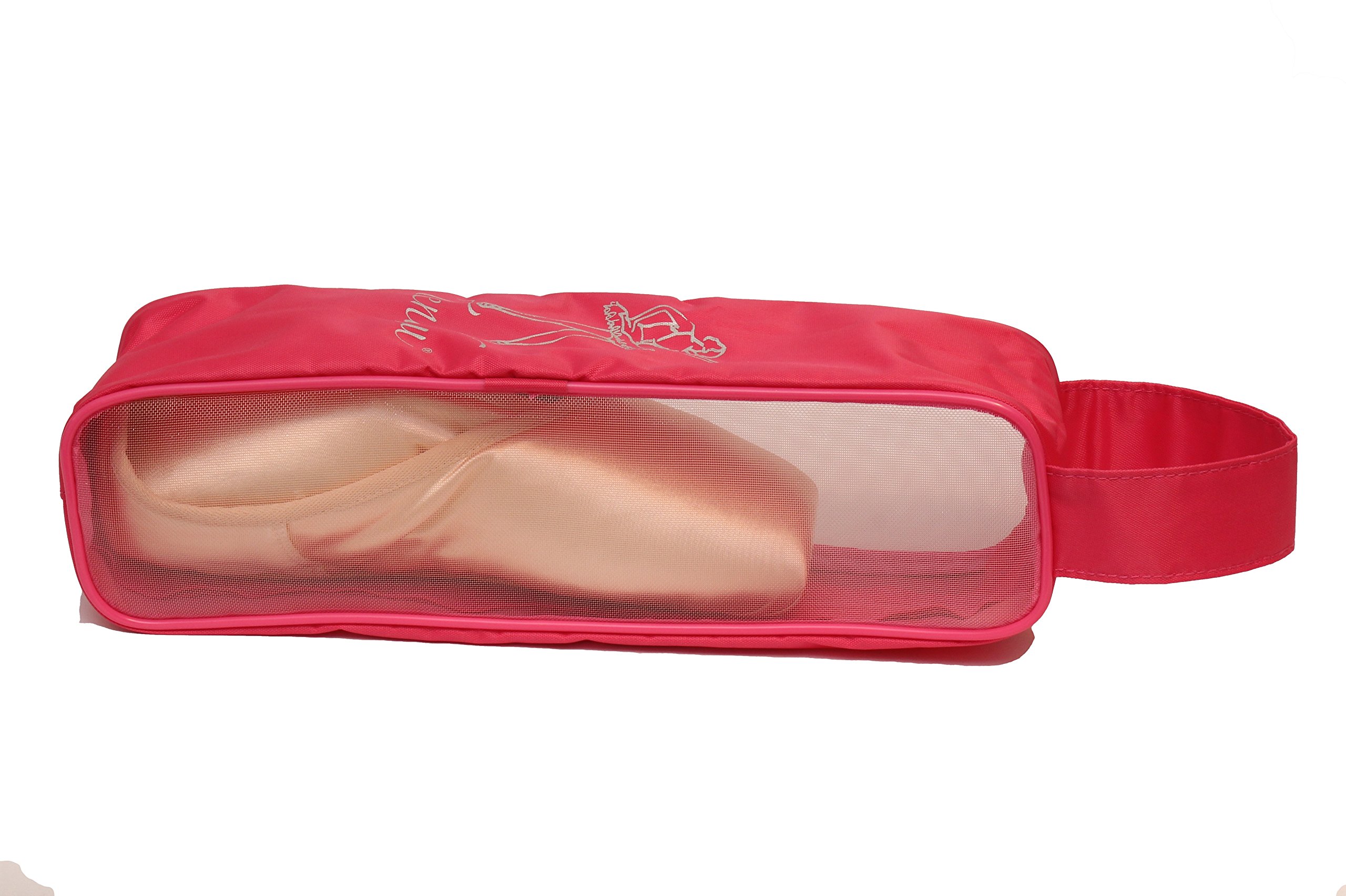 Tendu Pointe Mesh Shoe Case (Pink)