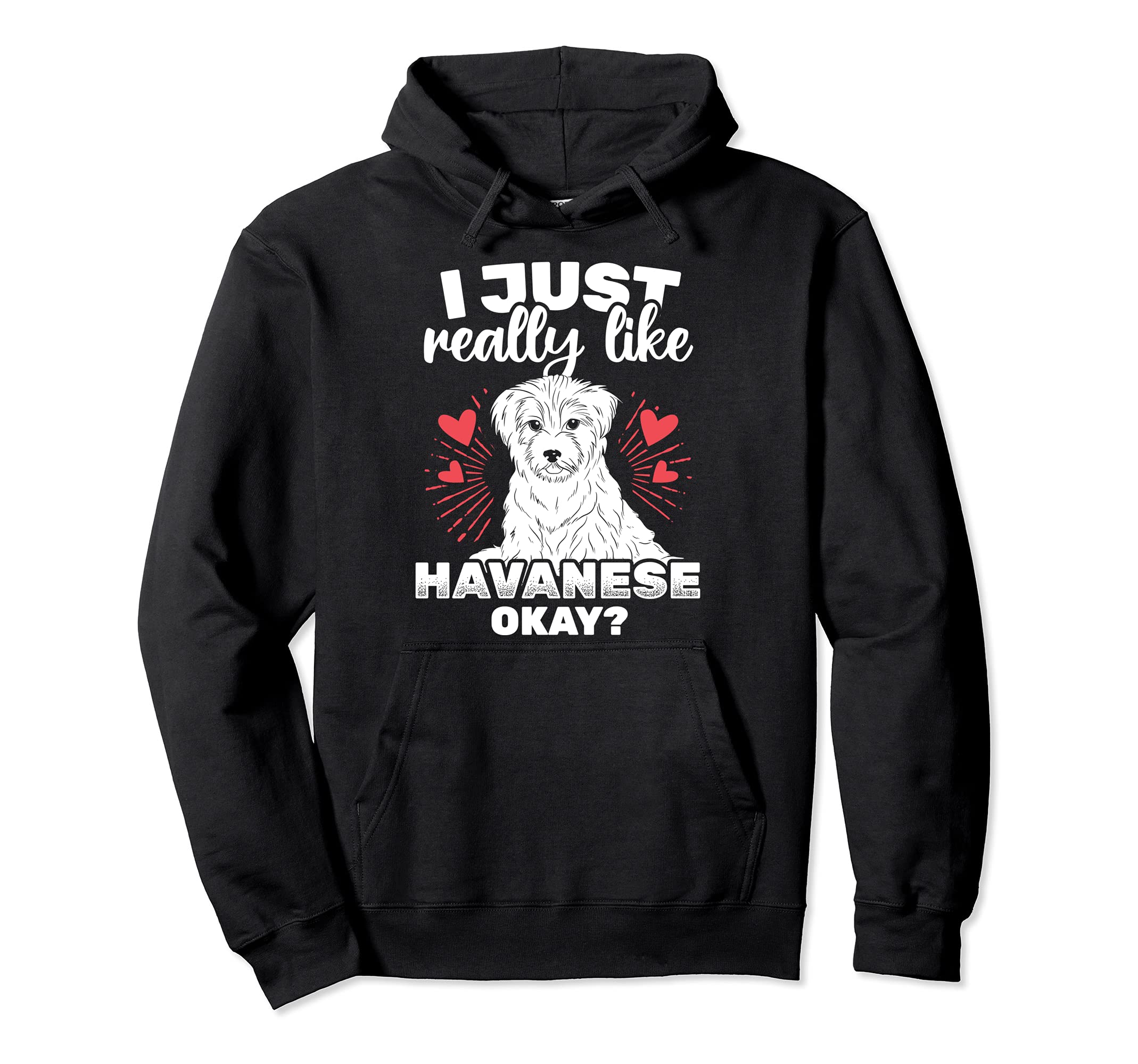 Just Really Like Havanese Okay Pet Havanese Dog Owner Pullover Hoodie
