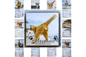 2026 Cat Calendar - Funny Monthly Wall Calendar with Hanging Pole | Jan 2026 - Dec 2026 | Cat Lovers Gift, Organizer for Home