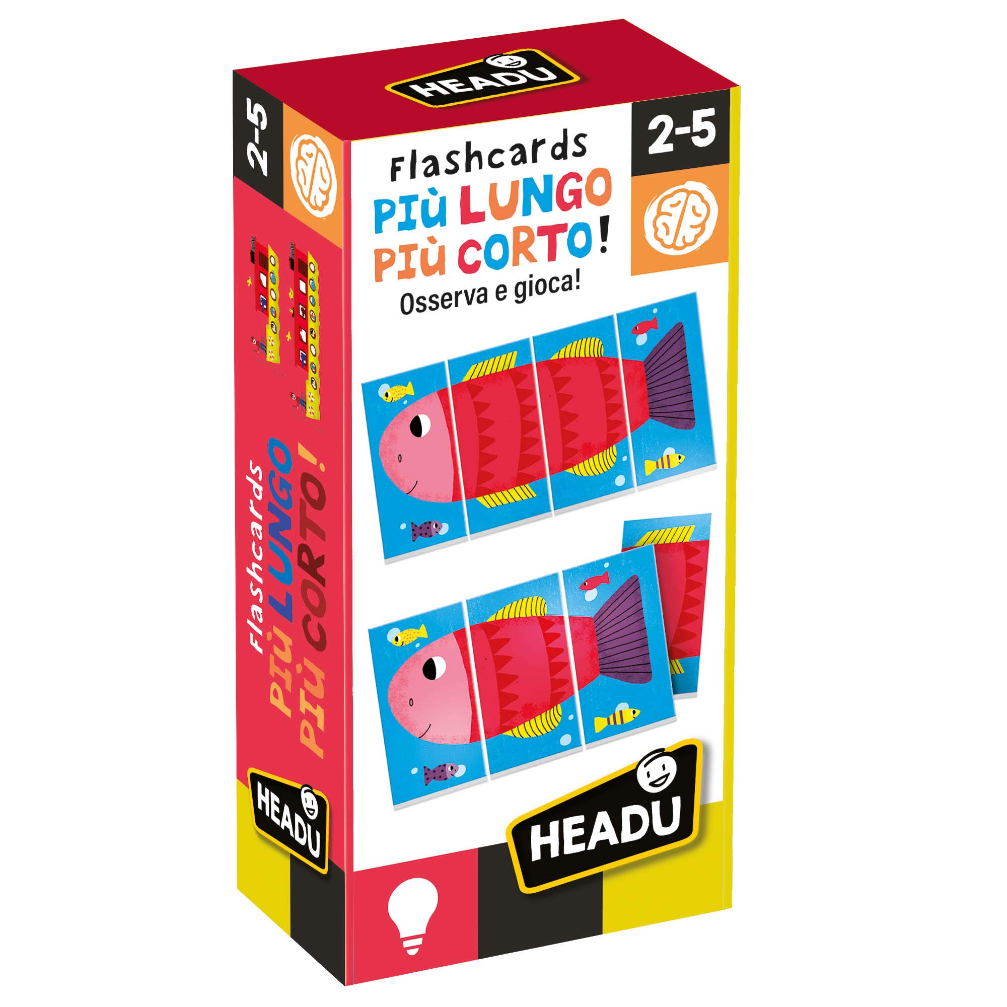 Headu- Longest Flashcards Shorter, IT24582