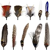 10 Pcs Hat Feathers, Natural Feathers,10 Colorful