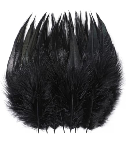 bluee feathers はまく〜ん様 3本おまとめ品 Phoenix Tail Feather : L (