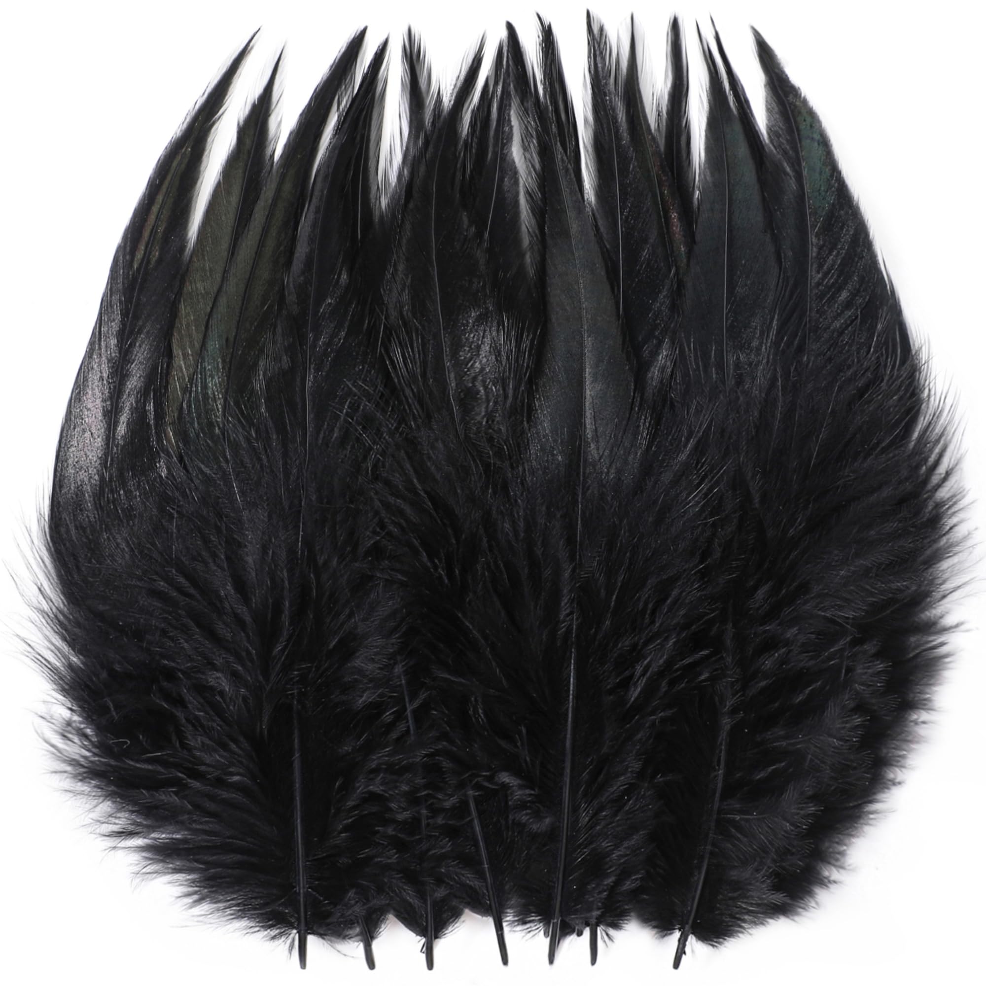 Photo 1 of Holmgren Black Craft Feathers Bulk - 200pcs 5-7inch Rooster Feathers for DIY Crafts, Dream Catcher and Halloween Holiday Party Costume Decorations (Black)