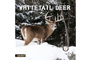 WINDRIO 2026 Wall Calendar,Calendar 2026, November 2025 - December 2026, Wall Calendar Whitetail Deer, 12" x 24" Opened,Full Page Months Thick & Sturdy Paper for Gift Perfect Calendar Organizing & Planning