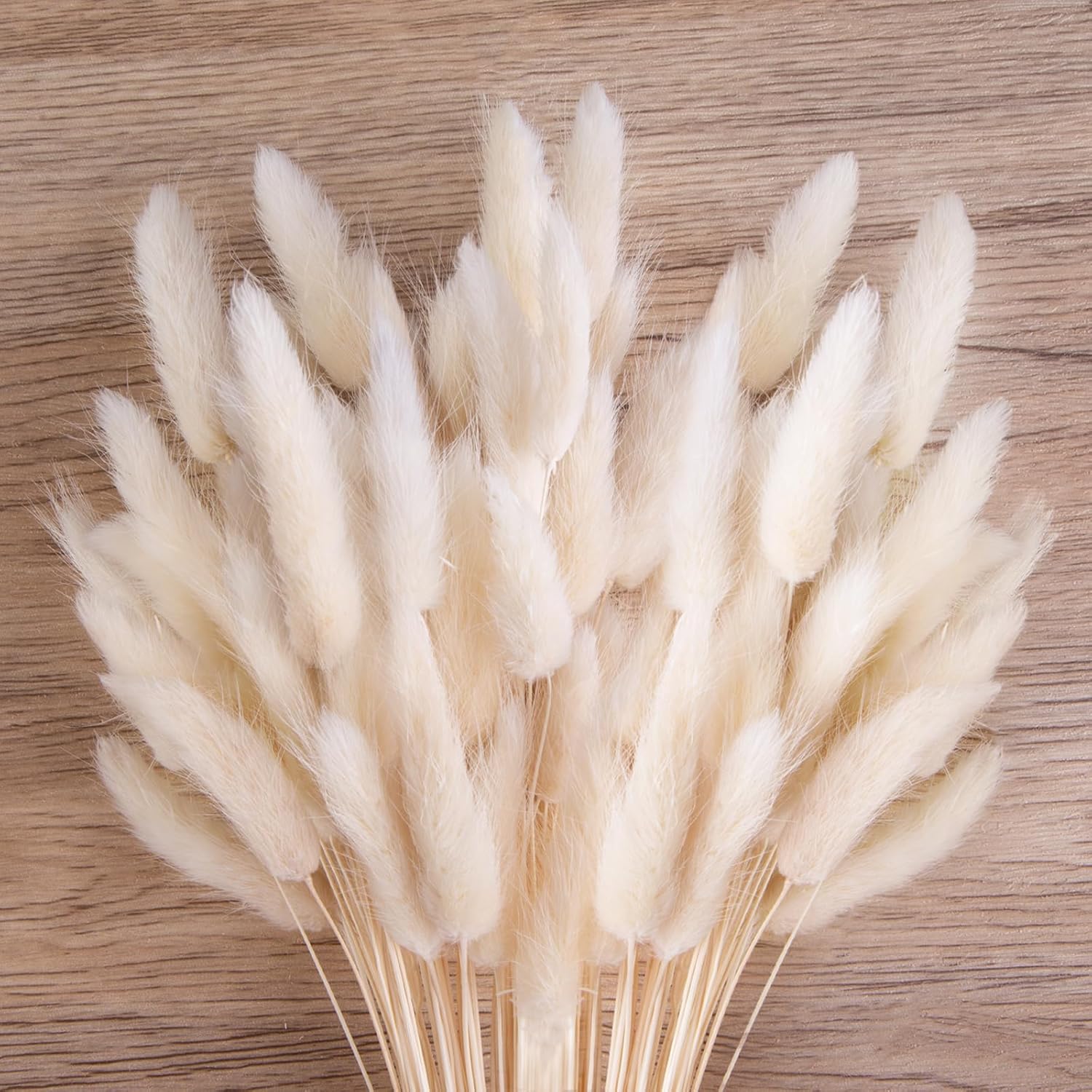 Dried & Preserved Flora - JOHOUSE 120 White Bunny Tails Dried Flowers, Lagurus Pampas Grass, Bunny Tails Handpicked Bunch, Dried Flowers for Interior Decoration Bohemian Home Wedding Decor