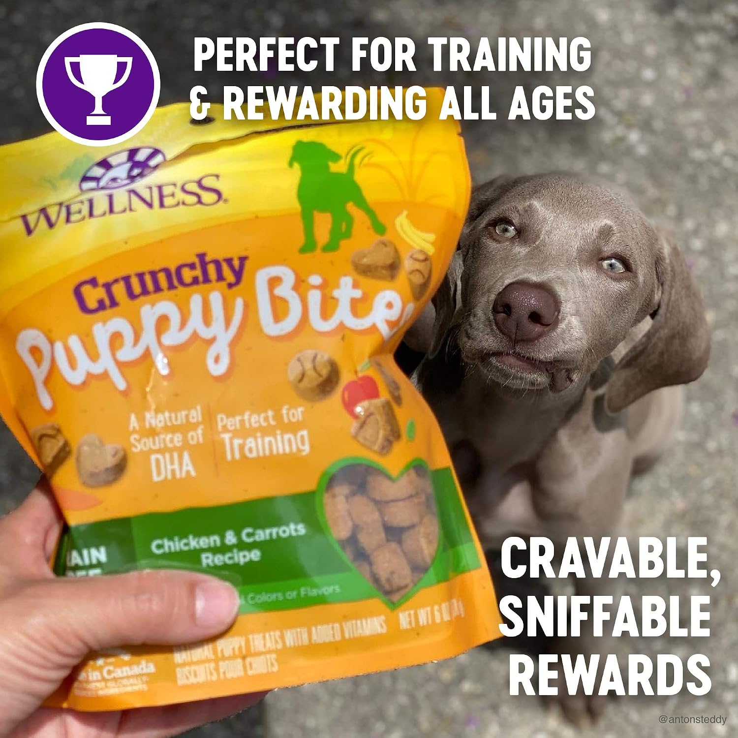 Wellness Puppy Treats, Natural, Training Treat, Grain Free, Crunchy Chicken & Carrot (6 Ounce Bag), Chicken & Carrots - Image 5
