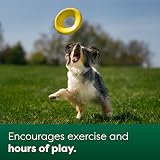 Earth Rated Flying Disc Dog Toy Small Yellow 7.2 inch TPE Floats Water view 4