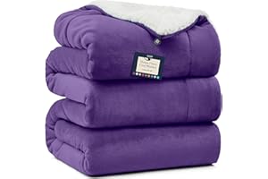 BELADOR Bed Blanket - Fleece Blankets Queen Size 90"x90"- Soft Throw Blanket with Sherpa Reverse Fluff- Large Blanket for Bed, Anti-Static Blankets & Throws- Lightweight Blanket, Cozy Couch Blanket