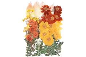 AHTONG 100 PCS Real Dried Pressed Flowers Leaves Natural Plant Herbarium for DIY Resin Mold Jewelry Making Craft (20 Styles)-Fall Yellow Orange