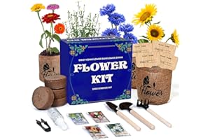 Sproutix Indoor Daisy Garden Starter Kit, 4 Flower Seeds Growing into Shasta Daisy, Cornflower, Sunflower, Zinnia, Including Complete Gardening Tools, Christmas Gifts for Women Men & Beginners
