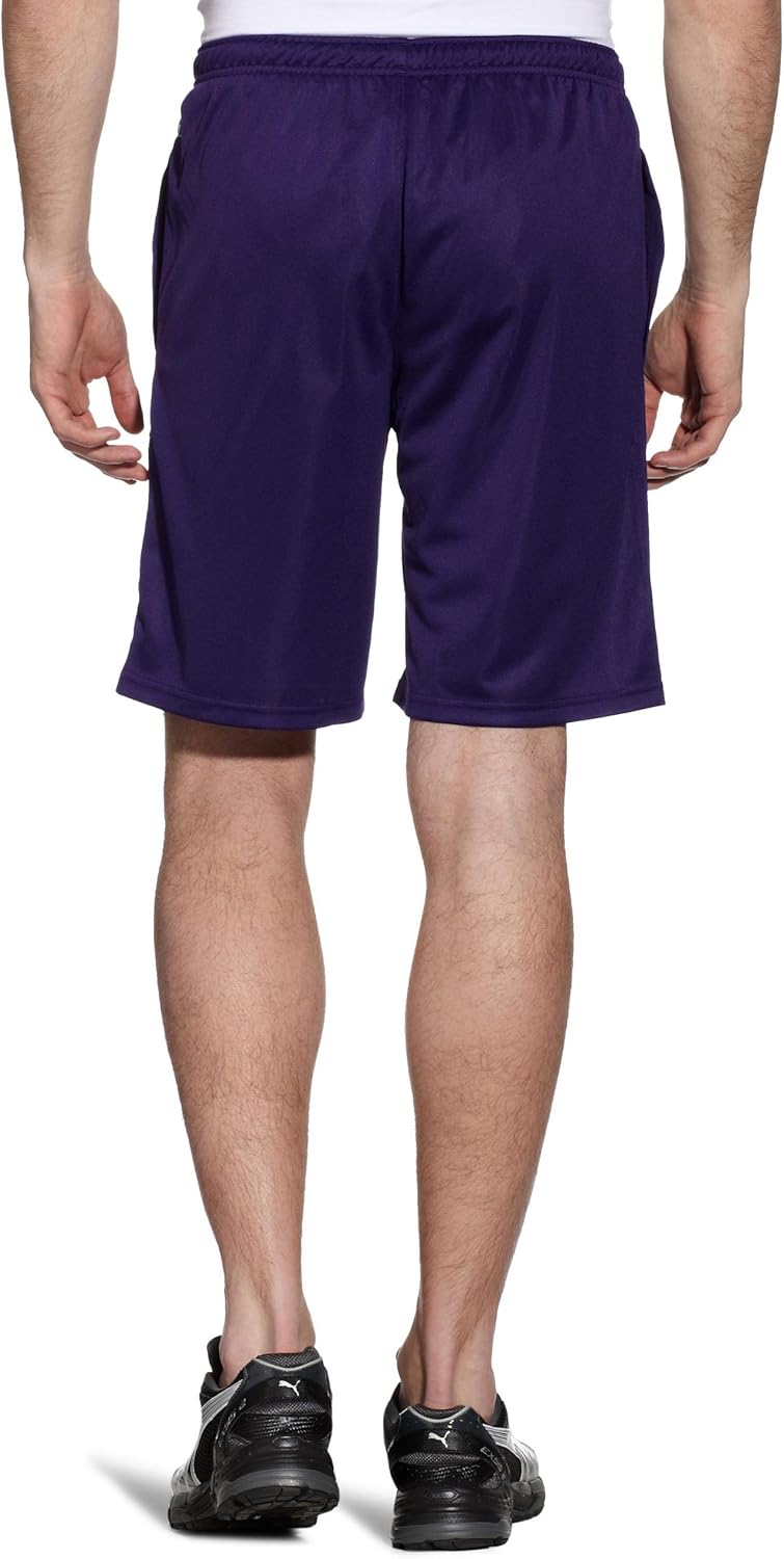 puma shorts mens purple