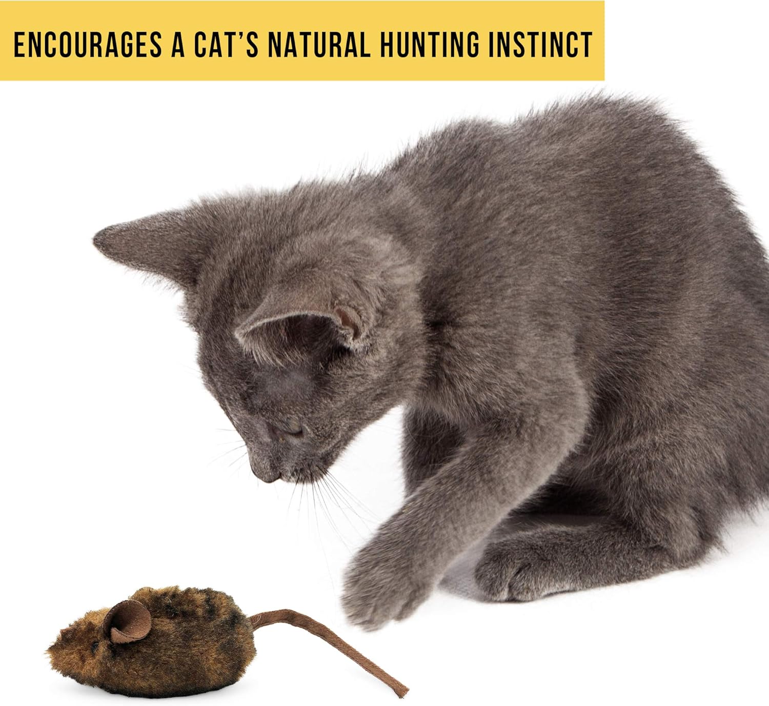 OurPets Play-N-Squeak Mouse Hunter Cat Toy (Interactive Cat Toy & Catnip Toy with Real Mouse Electronic Sound Catnip Toys for Cats) Perfect Cat Toys for Indoor Cats with Catnip) : Pet Mice And Animal Toys : Pet Supplies