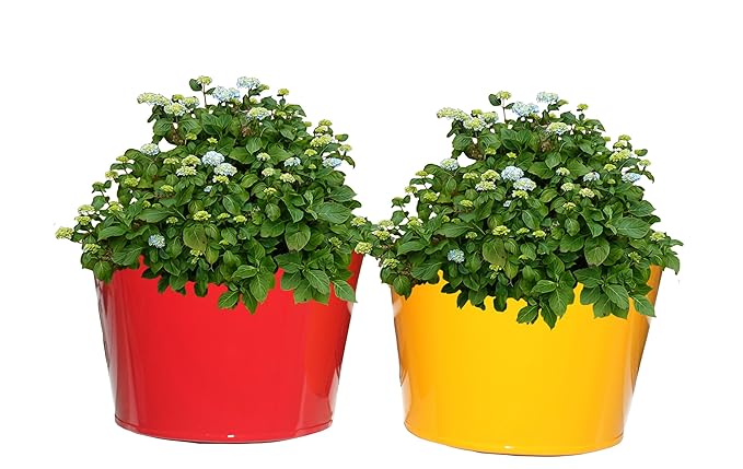 First Smart Deal Metal Wall Planter Multi - Pack of Two