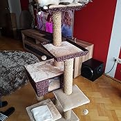 Stevige krabpaal voor alle katten, dus ook grote rassen