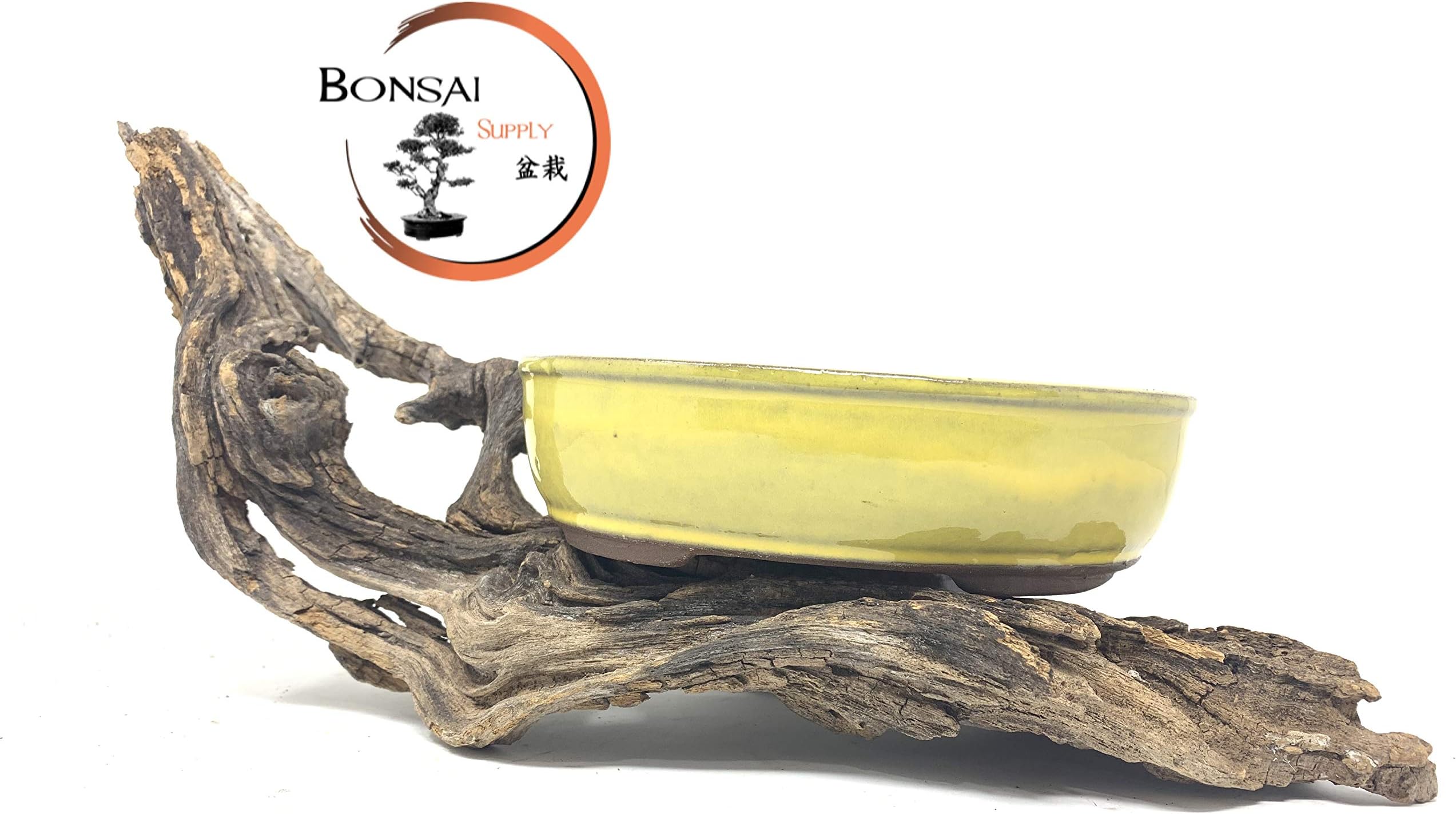 6" Glazed and Unglazed Bonsai Tree Pots by The Bonsai Supply (Yellow)