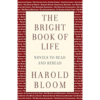 The Bright Book of Life: Novels to Read and Reread book cover