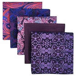 SHLAX&WING 5 Pieces Assorted Mens Silk Pocket
