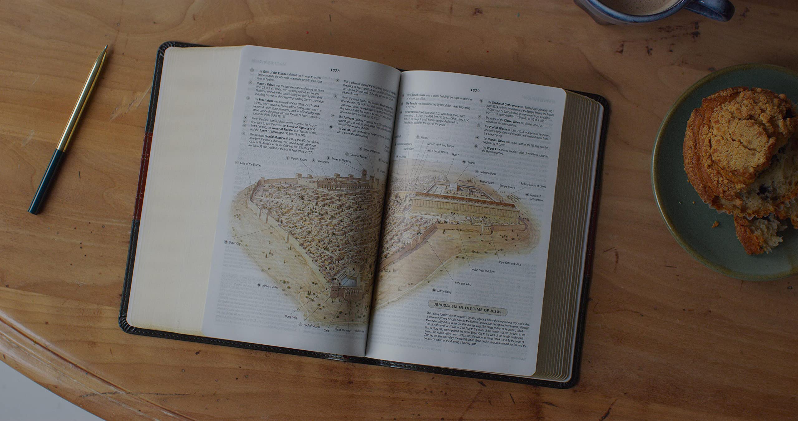 ESV Study Bible, Personal Size (TruTone, Forest/Tan, Trail Design): Holy Bible, English Standard Version ESV Study Bible, Personal Size (TruTone, Forest/Tan, Trail Design): Holy Bible, English Standard Version ESV Study Bible, Personal Size (TruTone, Forest/Tan, Trail Design): Holy Bible, English Standard Version Imitation Leather