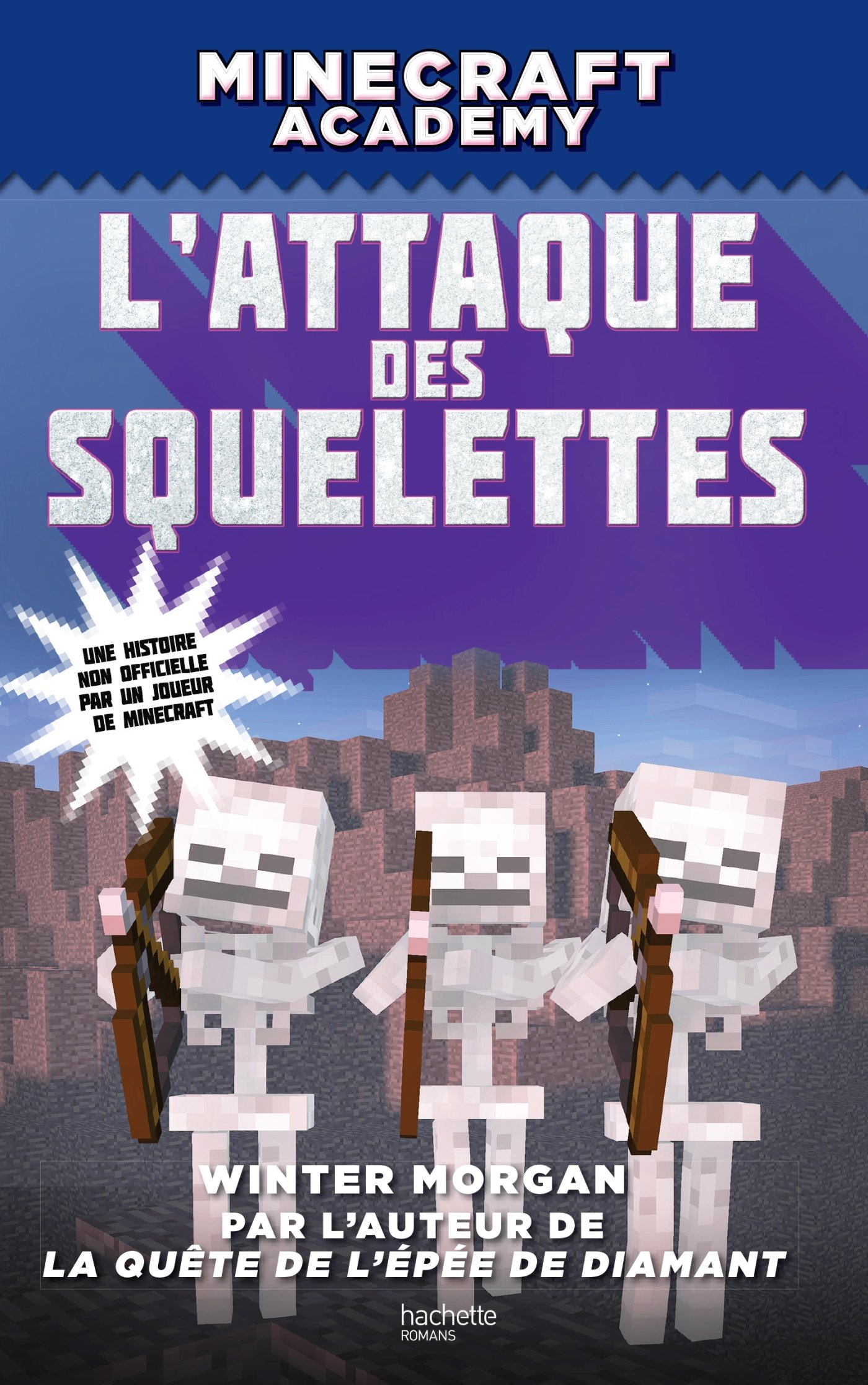 Minecraft Academy L Attaque Des Squelettes Minecraft Academy 2 French Edition Morgan Winter Drouet Valerie Amazon Com Books