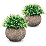 ODOM Artificial Plants 2 Pcs, Small Fake Plants Bathroom Decor, Mini Potted Plastic Green Grass, Faux Plants Plastic Greenery