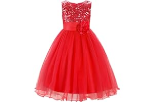 JerrisApparel Little Girls' Sequin Mesh Flower Ball Gown Party Dress Tulle Prom
