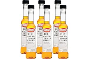 Gumout 510021W-6PK Fuel System Cleaner, 6 Pack