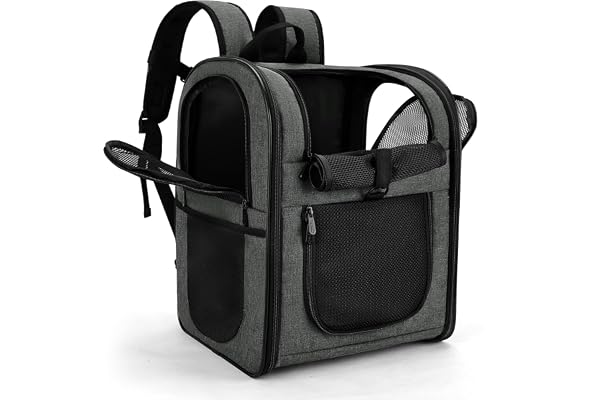 Apollo Walker Pet Carrier Backpack for 4-15lb Cats and Dogs, Puppies, Safety Features and Cushion Back Support | for Travel,