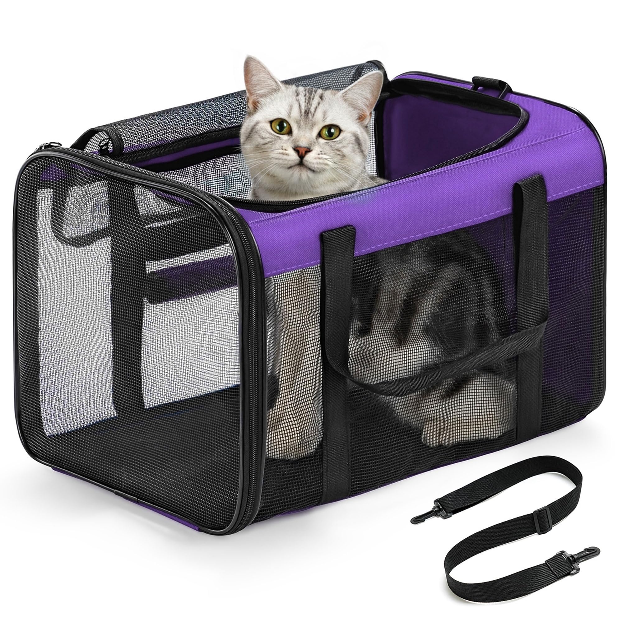 Conlun Cat Carrier Bag,Soft-Sided Pet Carriers for Dogs with 4-Sided Mesh,Airline Approved Cat Transport Carrier for Small&Medium Cats Kitten Puppy Up to 6Kg,Collapsible Cat Travel Carrier-M,Purple