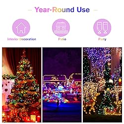 CAMANTU Clear Christmas Lights, LED Christmas