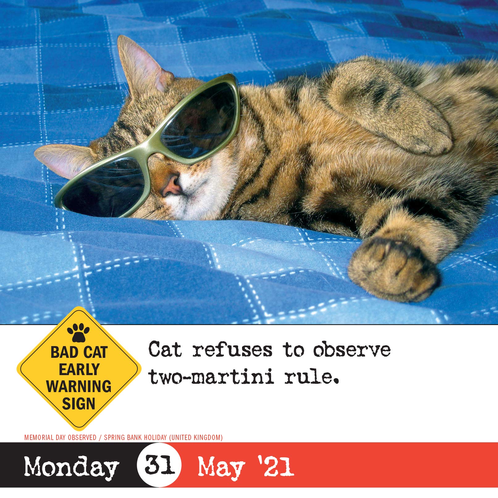 Bad Cat Page A Day Calendar 2021 Workman Calendars 9781523508334 Amazon Com Books bad cat page a day calendar 2021