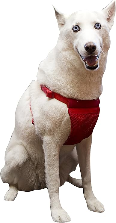 Amazon Com Sporn Comfort Harness For Dogs Red Large Pet Supplies