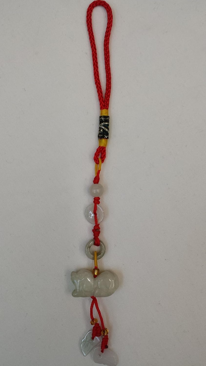 Amazon.com: Amulet - Chinese Feng Shui Hand Carved Lucky Jade Dog