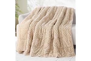 Drewin Weighted Blanket Twin Size 15 lbs, 3D Turtleback Pattern Jacquard Sherpa Weighted Blankets, Adult Weighted Blankets for Sleep Natural and Relaxing, Beige, 48 x 72 inches