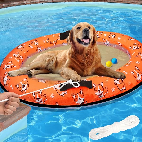 big dog float