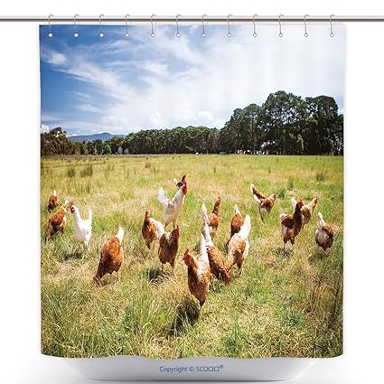 Amazon Com Vanfan Cool Shower Curtains A Flock Chickens Roam