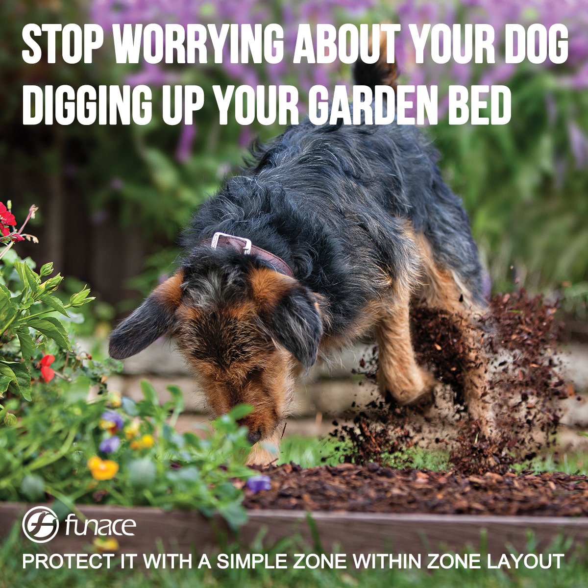 Amazoncom Underground Wired Pet Containment System Advanced